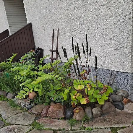Niittytie Alexsandra Kuopio