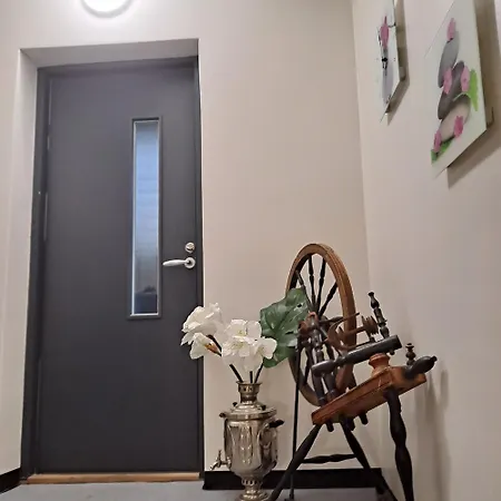 Niittytie Alexsandra Apartment Kuopio