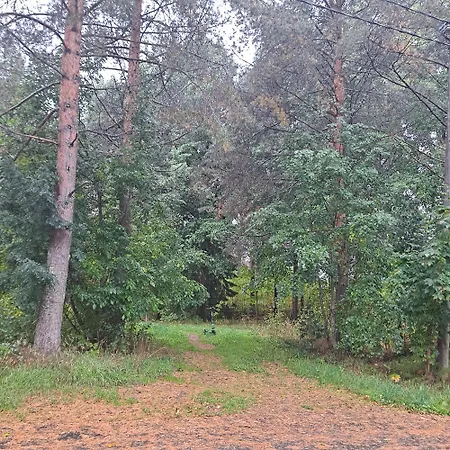 Niittytie Alexsandra