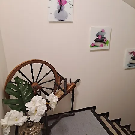 Niittytie Alexsandra