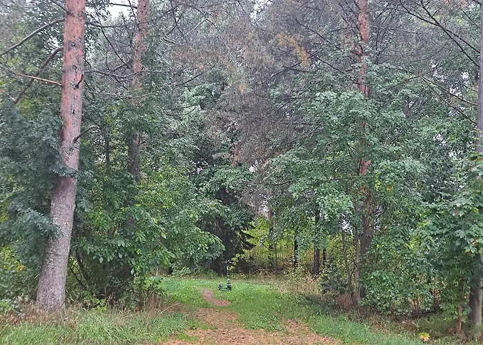 Niittytie Alexsandra