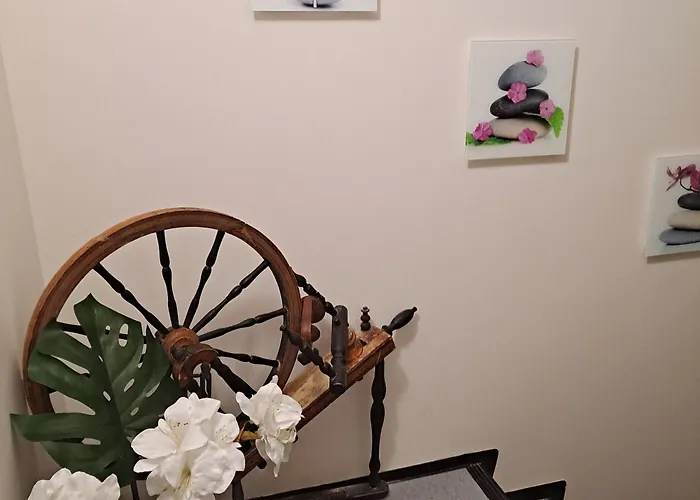 Niittytie Alexsandra